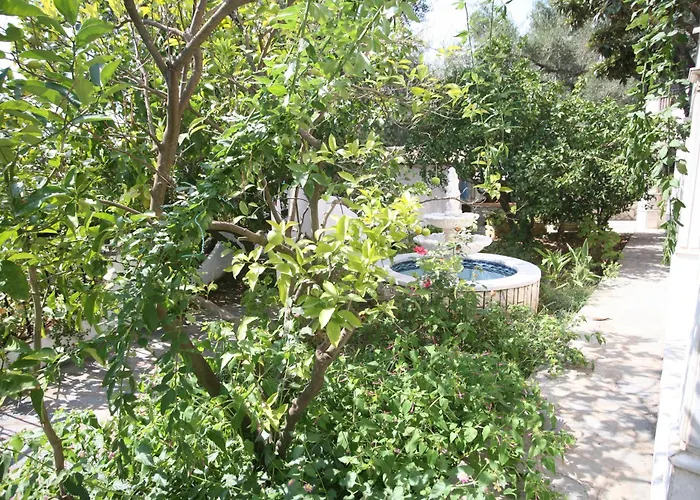 Aparthotel Aphrodite Nissaki Nisaki (Corfu)