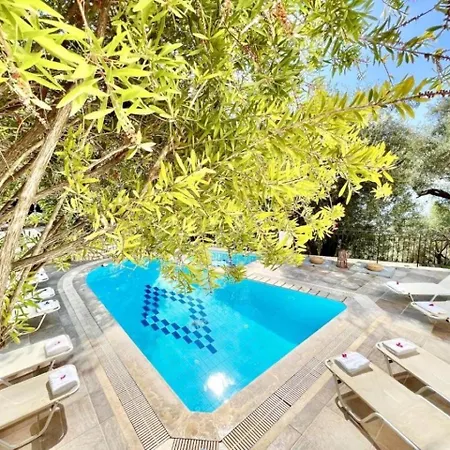 公寓式酒店 Aphrodite Nissaki Nisaki (Corfu)